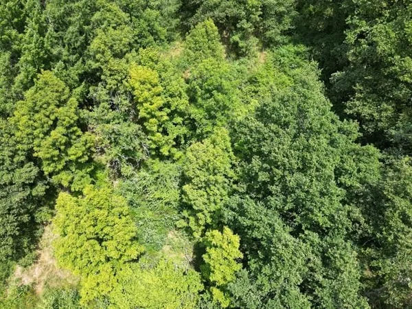 Terrain 1669 m²