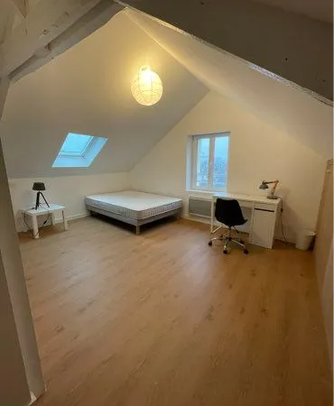Colocation / Chambre avec SDB privée / appart meublé 100m2 rue Paul Bellamy