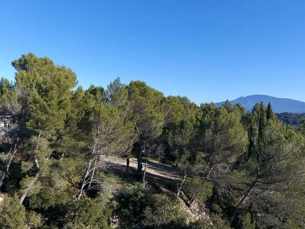 VAISON LA ROMAINE - MAISON AVEC PISCINE ET TERRAIN ARBORE