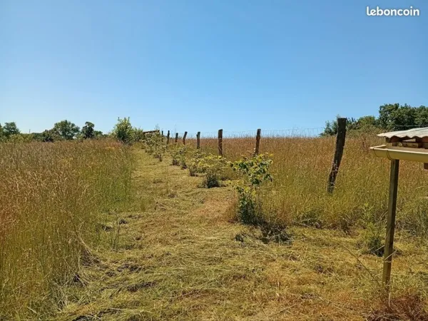 Prairie clôturée 5000 m² à disposition - projet agricole / nature (approche écologique) BOURROU