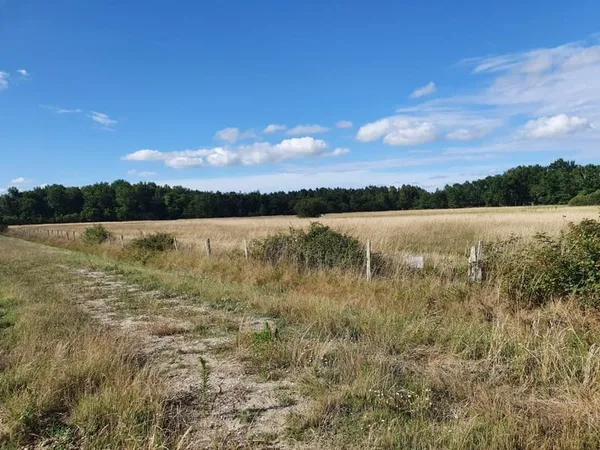 Terrain à bâtir Vente Fargues-Saint-Hilaire  700m² 110000€