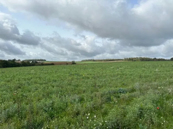 Terrain 447 m²