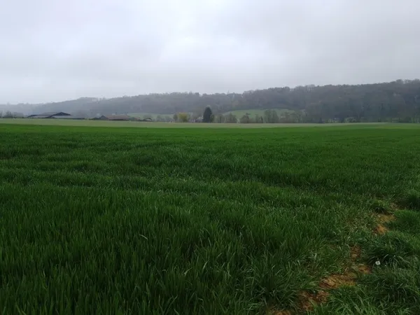 Terrain agricole à vendre, idéal pour développer ou agrandir votre exploitation