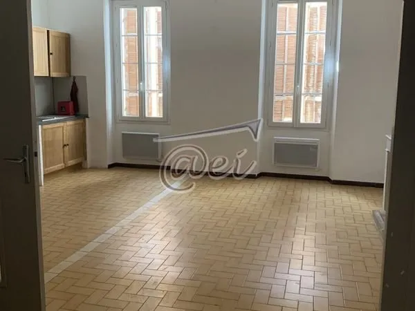 Appartement 1 pièce 43 m²