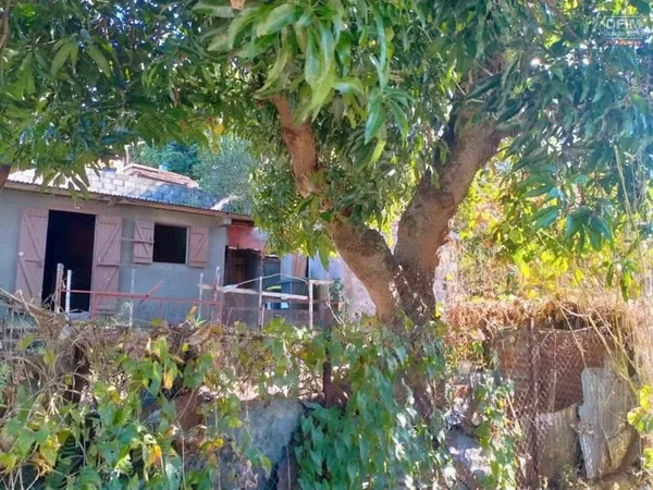 Terrain arboré de 202 m2 viabilisé dans un quartier calme de l'Entre Deux
