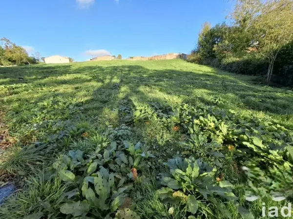 Terrain 1133 m²