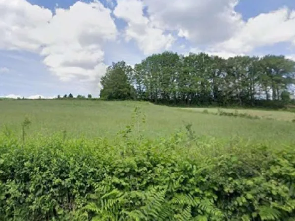 Terrain à bâtir Vente Châteauneuf-la-Forêt  2622m² 13500€