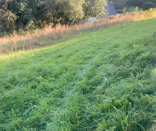 PARCELLE 250m2 sur terrain arboré 3km PERROS GUIREC