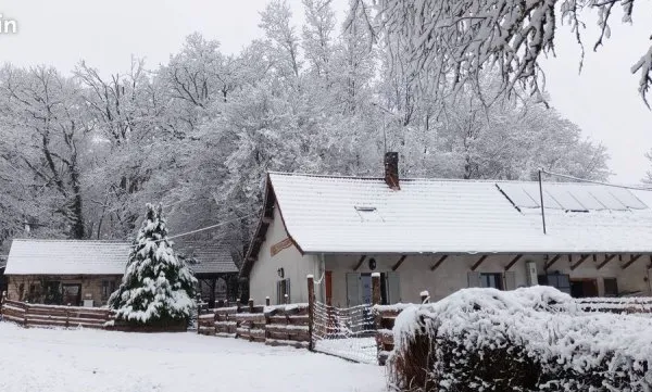 À vendre maison (ferme bressane) authentique pleine nature sur plus d'un hectare