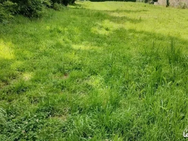 Terrain 1 593 m² Combrit