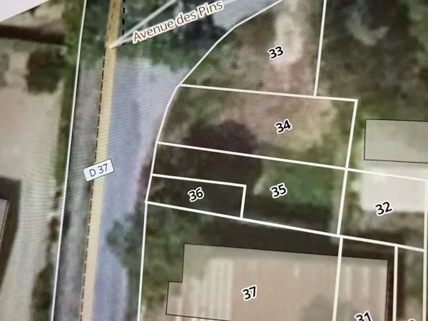 Terrain constructible
