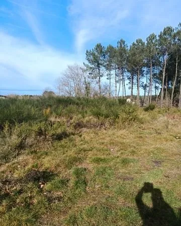 Terrain lesperon