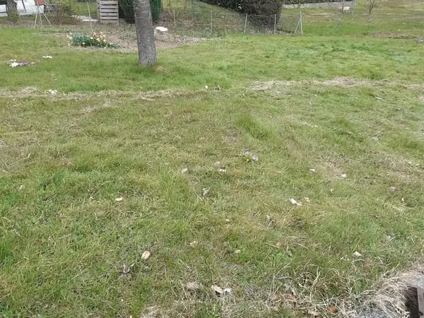 Terrain constructible