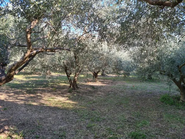TERRAIN CONSTRUCTIBLE MANOSQUE CENTRE