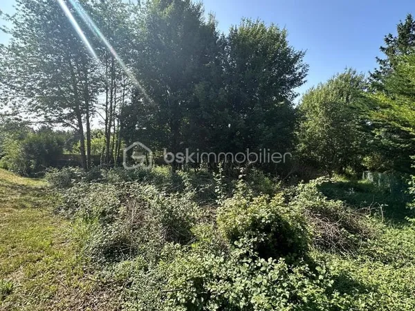 Terrain constructible