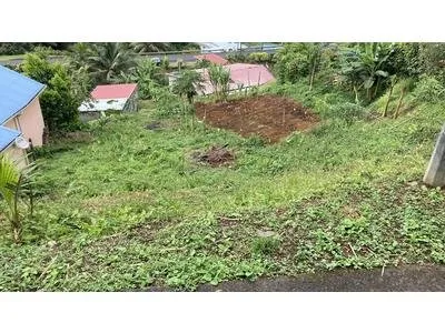 TERRAIN 703 M² - SAINTE MARIE