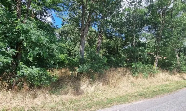 Terrain de toute beauté à Saint Hilaire De Riez 3463 m2