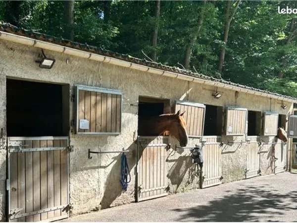 Ecurie à louer