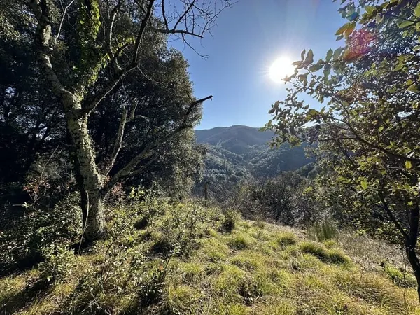 Terrain Vente Val-d'Aigoual  3101m² 130000€