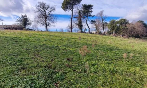 Terrain À Vendre