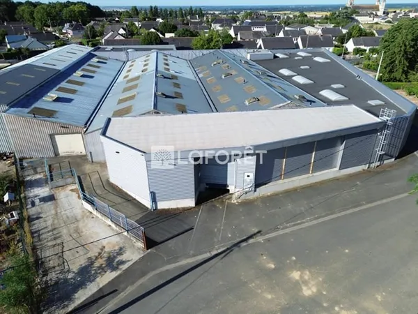 Entrepôt / local industriel Le Puy Notre Dame 4500 m2