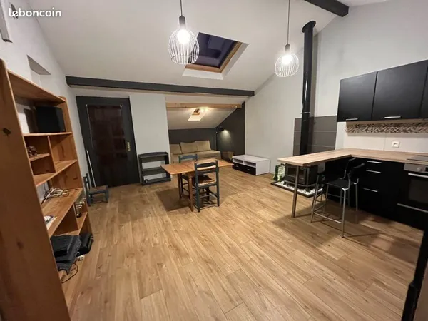 Grand T2 meublé avec jardin