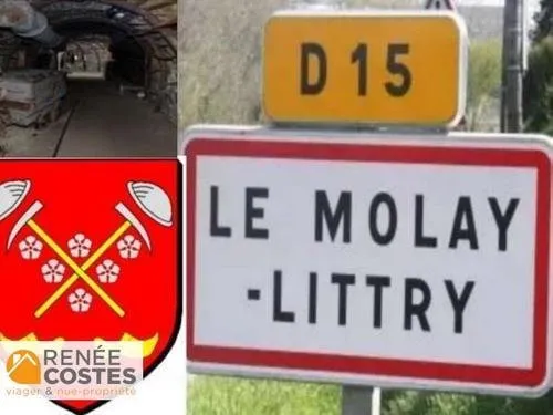 Viager occupé - F80-H78 ans - LE MOLAY LITTRY (14330)