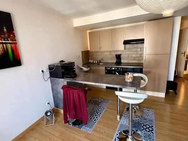 Pour investisseur - Appartement loué 46 M2 centre-ville