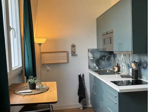 Appartement Location Orléans 1p 17m² 480€