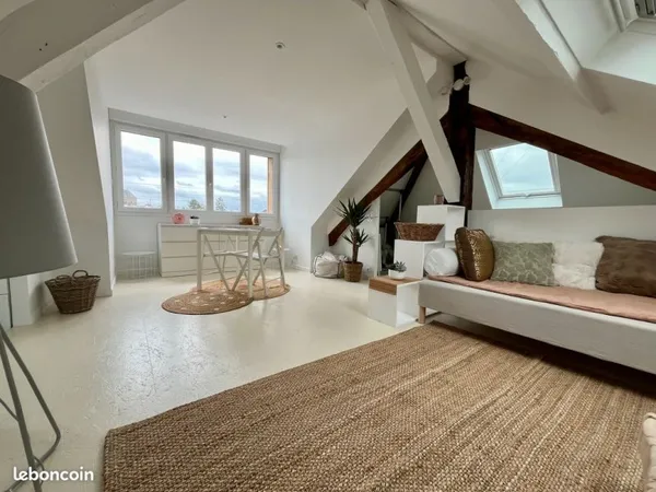 Hauts-Pavés Appartement Dernier étage