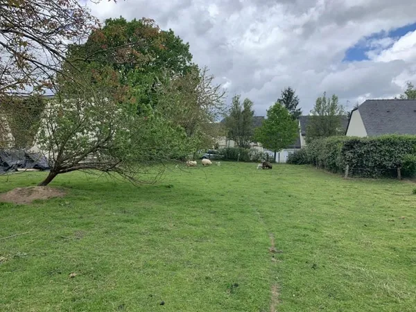Terrain 2406 m²