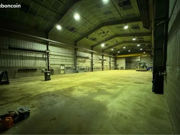 Local, Hangar à louer 800 m2 + 500 m2 de cours