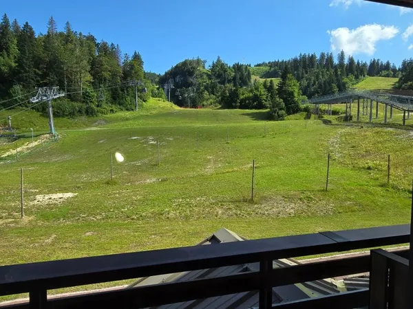 TRES BEAU T1BIS - COL DE LA FAUCILLE- VUE SUR LES PISTES