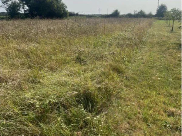 Terrain 2270m2