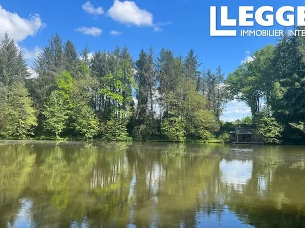 3 étangs alimentés par des sources au coeur de la campagne de la Dordogne, cachés dans la forêt.