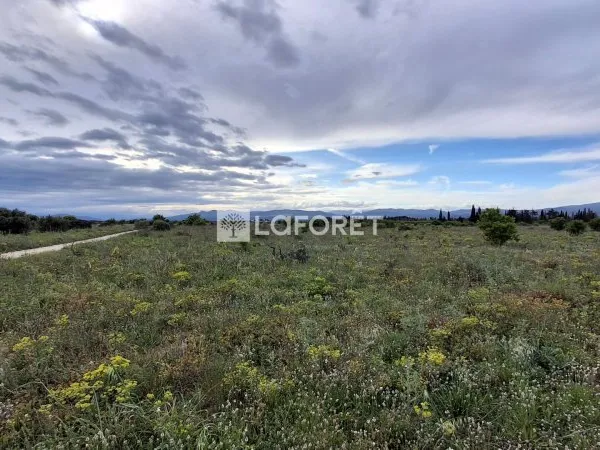 Terrain 10870 m²