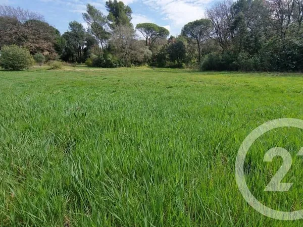Terrain 3100 m²