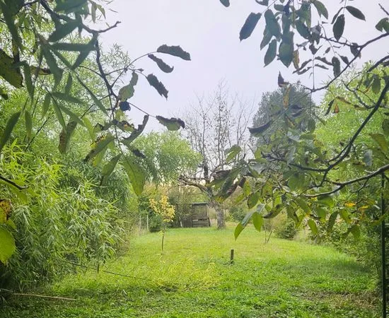 Maison avec Puit et Terrain Constructible