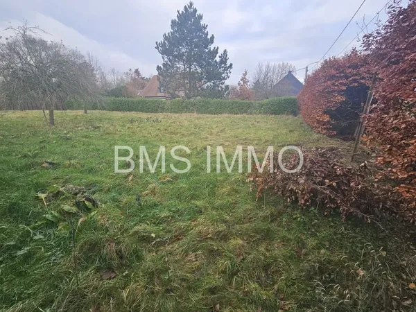 Terrain constructible