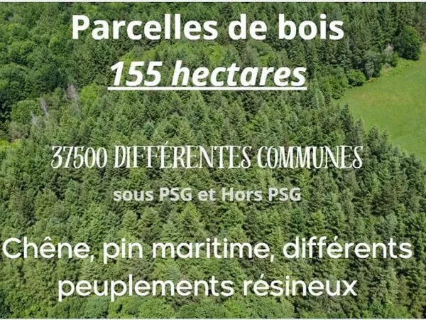 Parcelles de bois 155 hectares