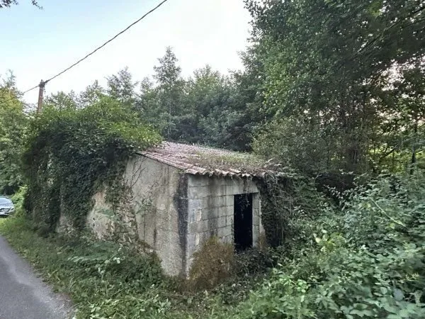 Terrain Mirambeau 6000 m2