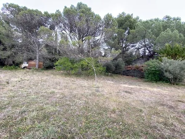 Vente terrain