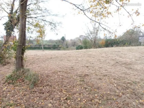 Terrain 2 297 m² Diemeringen