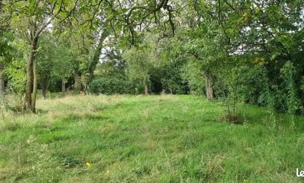 Terrain 925 m² Neuville En Ferrain
