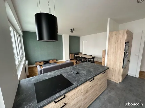Appartement T3 refait à neuf - centre ville