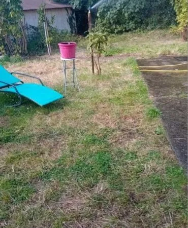 Terrain à vendre transformé en petit maison et jardin 120 M2 affaires à saisir rapidement