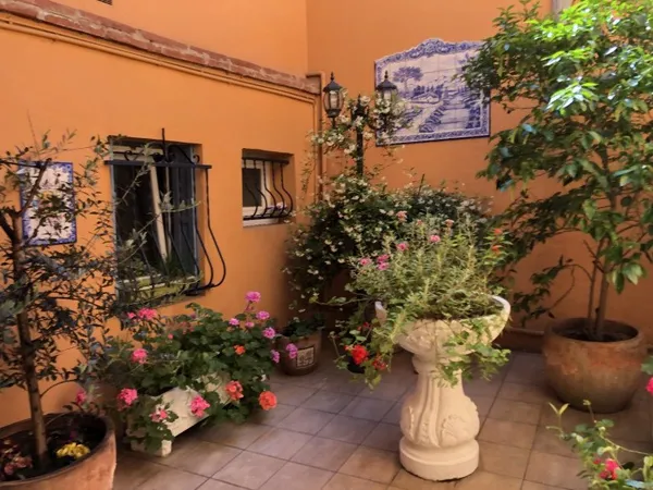 Immeuble 239 m²