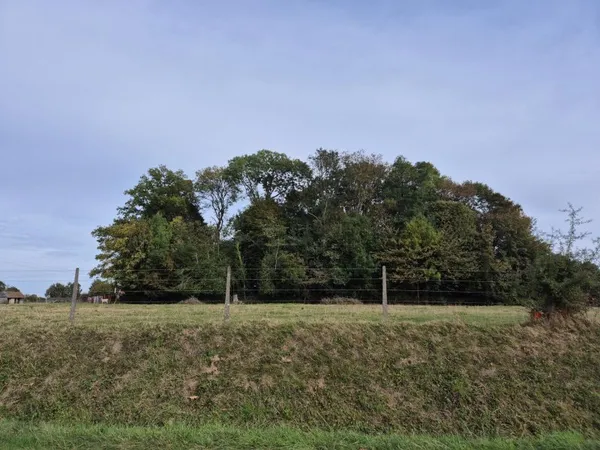 Terrain à bâtir