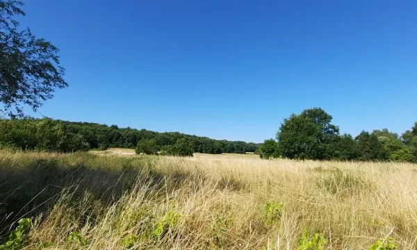 Terrain 5377 m²