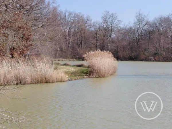 VENTE ETANG DE 2 HECTARES